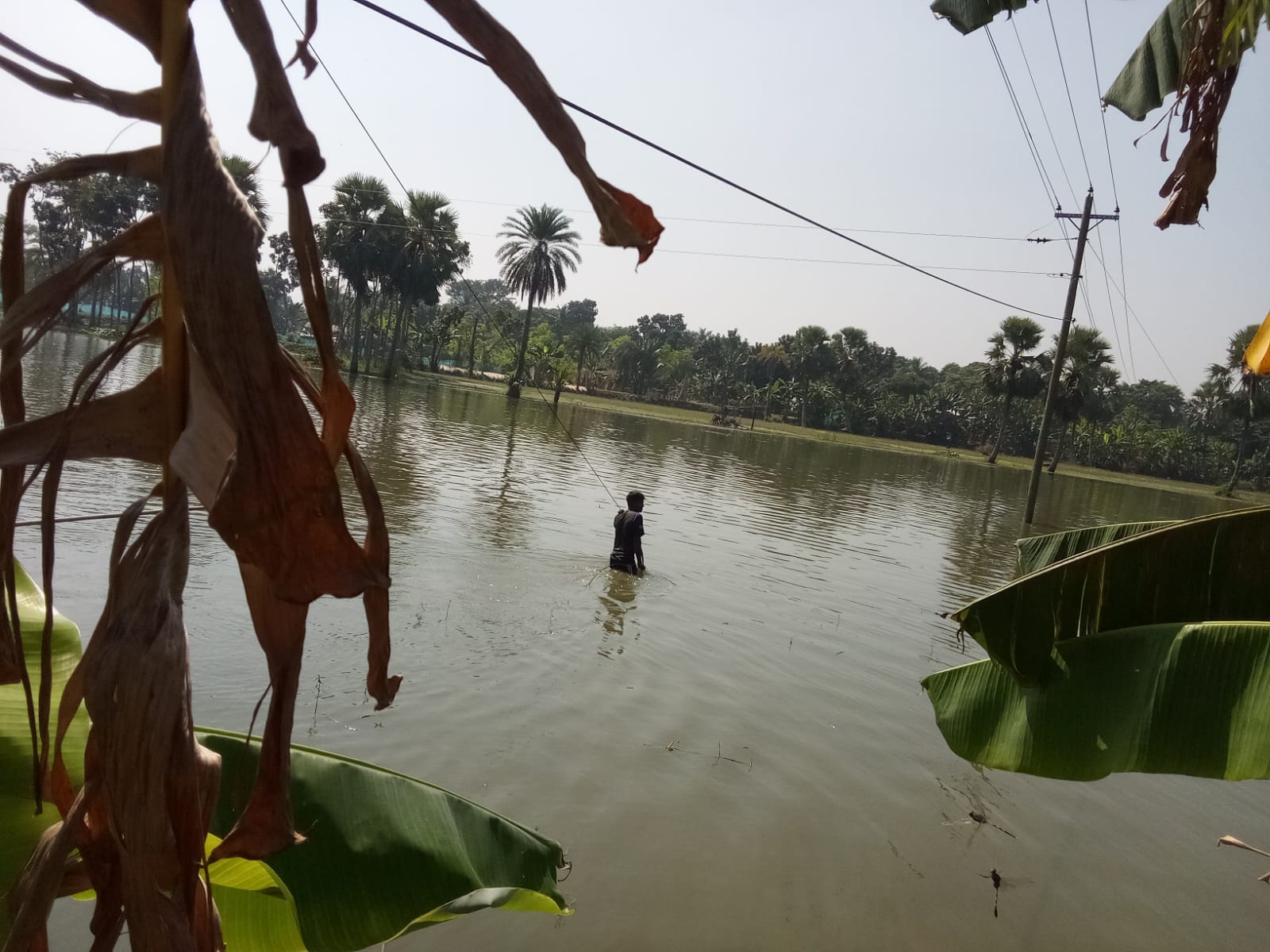 shadhin-wifi-village-image