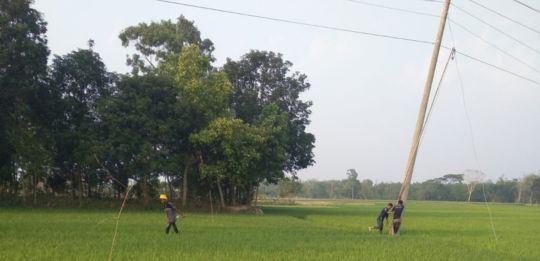 shadhin-wifi-village-image