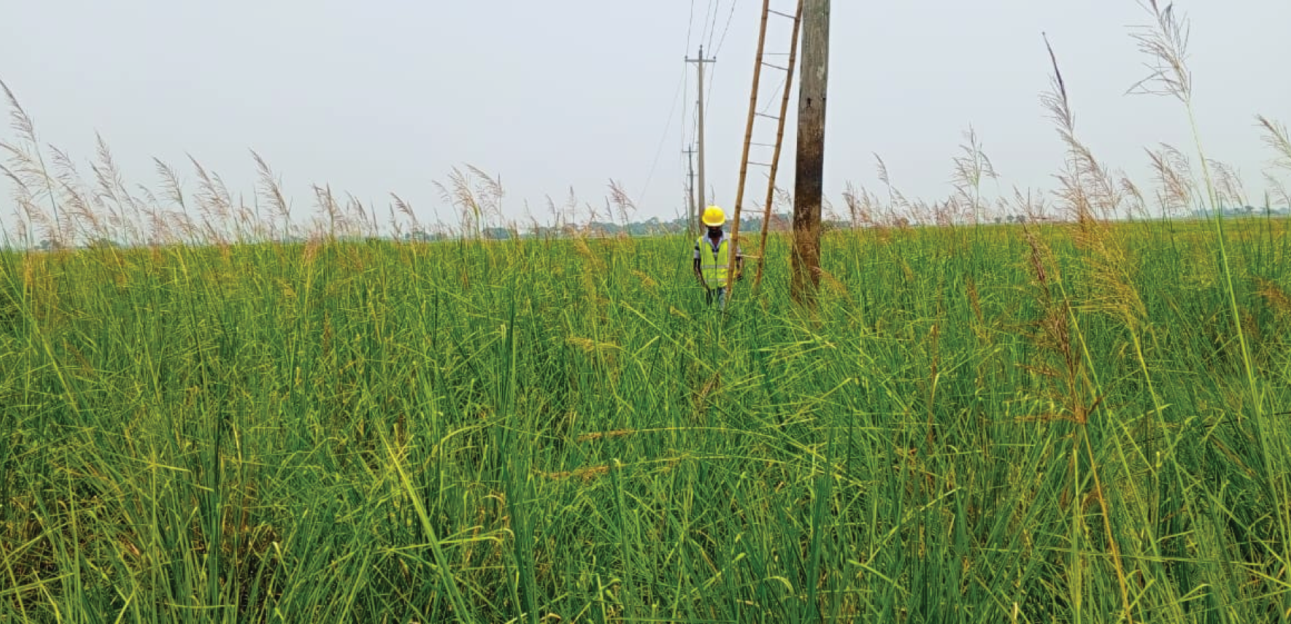 shadhin-wifi-village-image