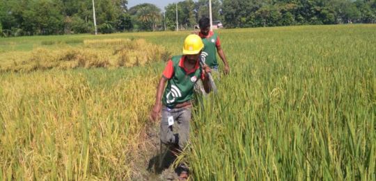 shadhin-wifi-village-image