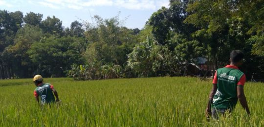 shadhin-wifi-village-image