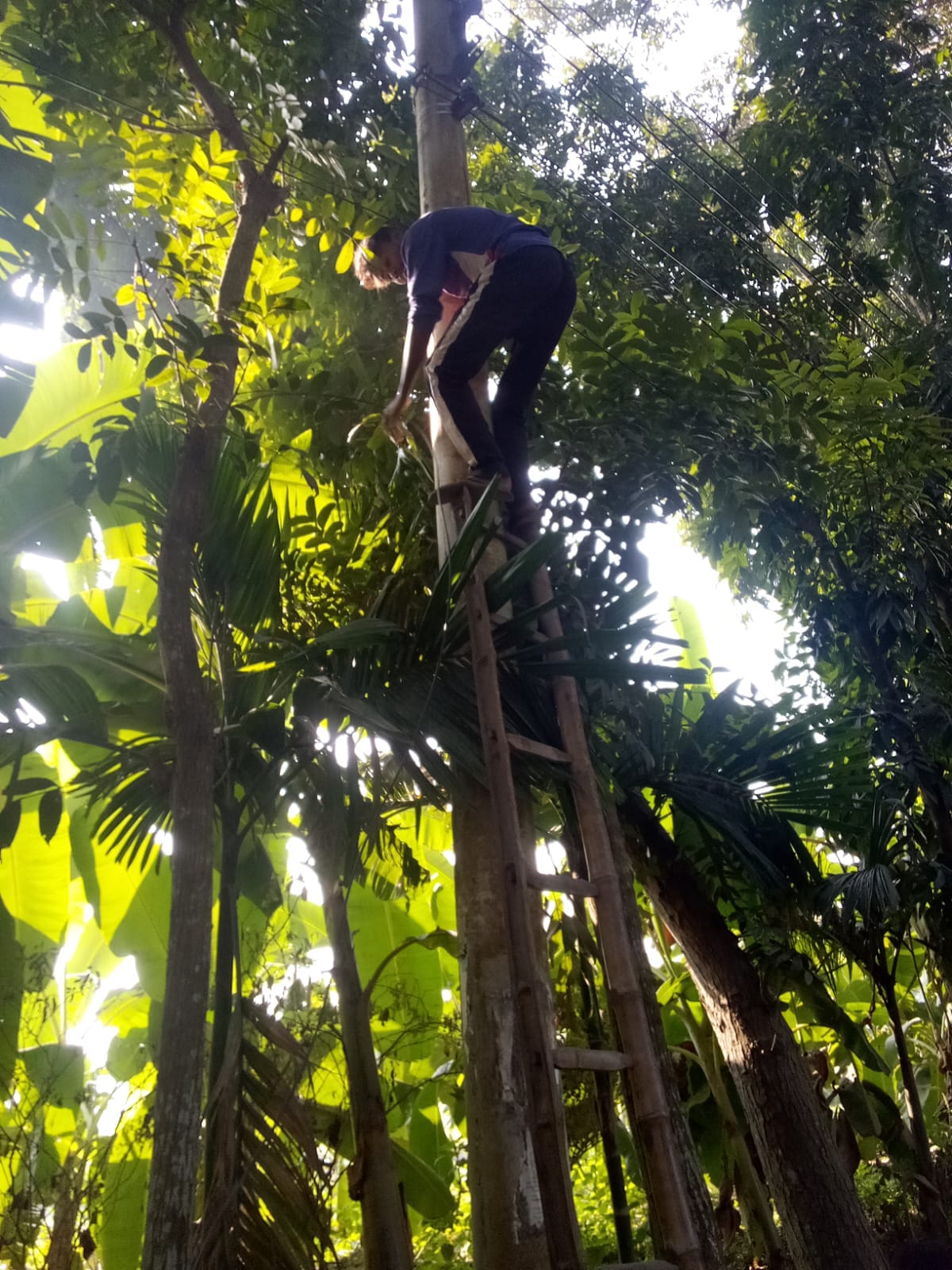 shadhin-wifi-village-image