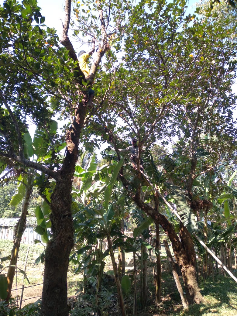 shadhin-wifi-village-image