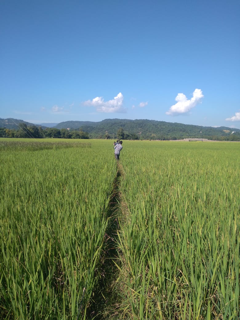 shadhin-wifi-village-image