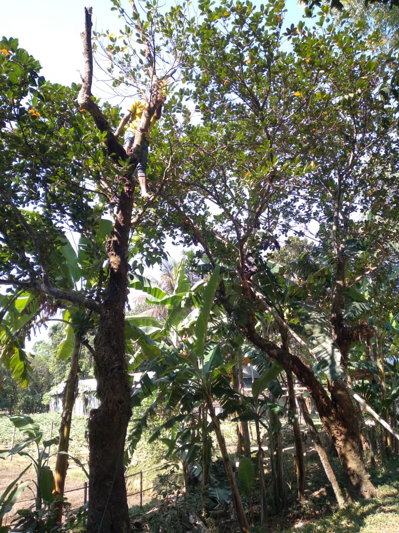 shadhin-wifi-village-image