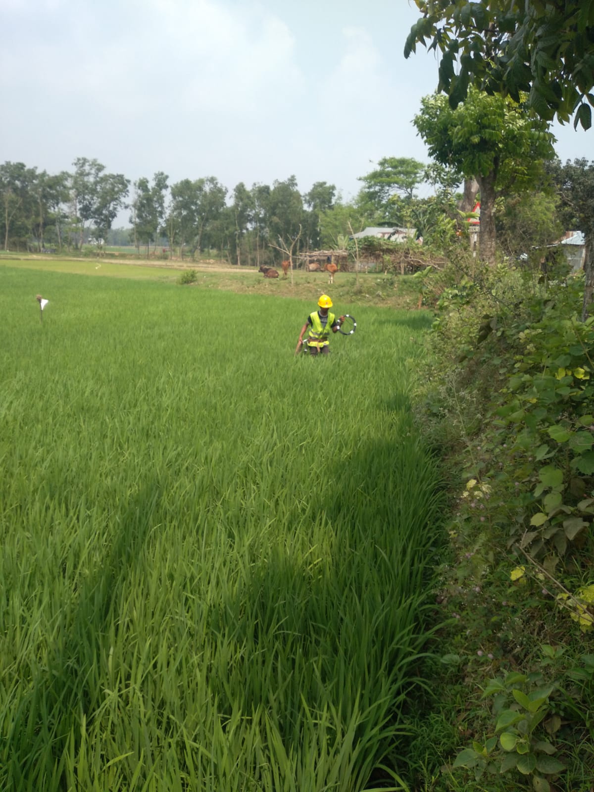 shadhin-wifi-village-image