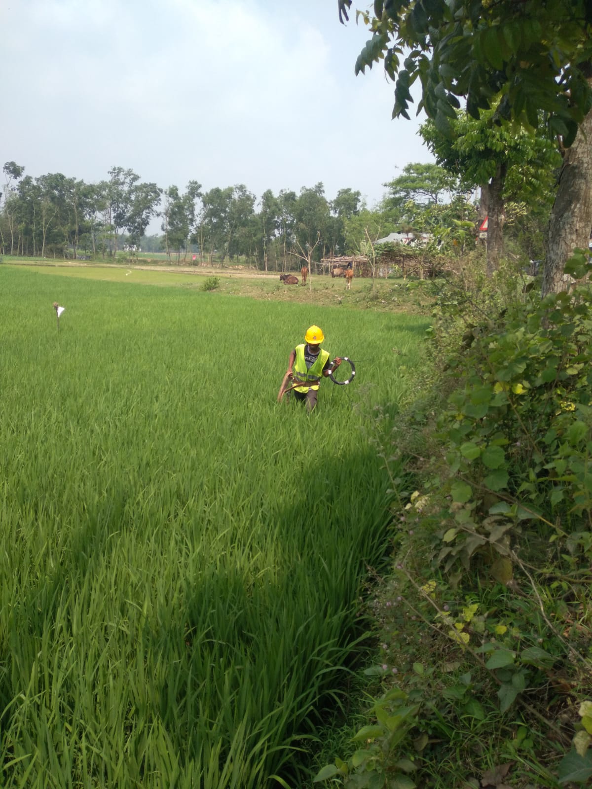 shadhin-wifi-village-image